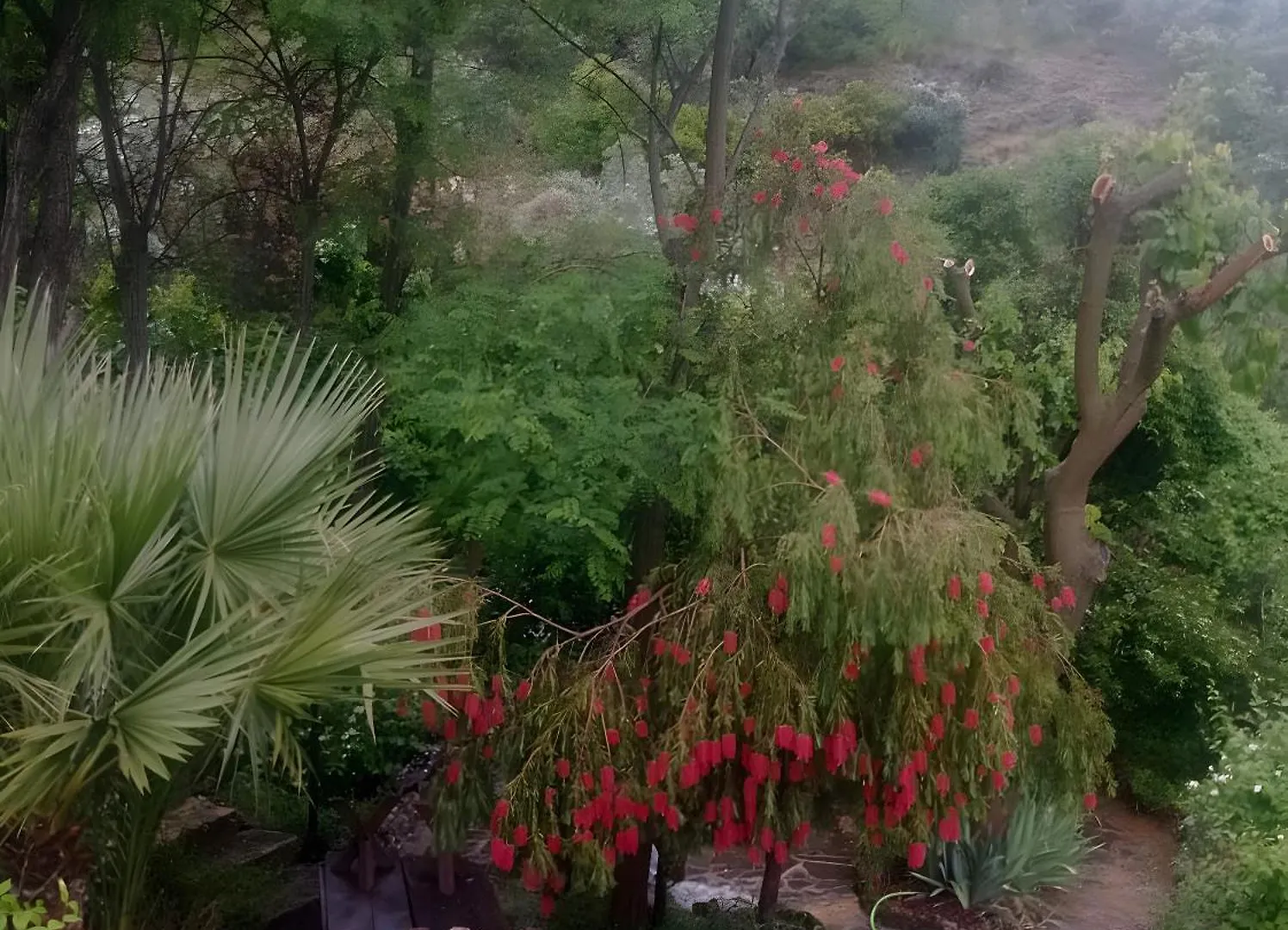 Finca Rustica La Pajara Villanueva Del Arzobispo Holiday home